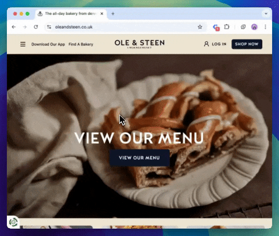 Browser overview.gif